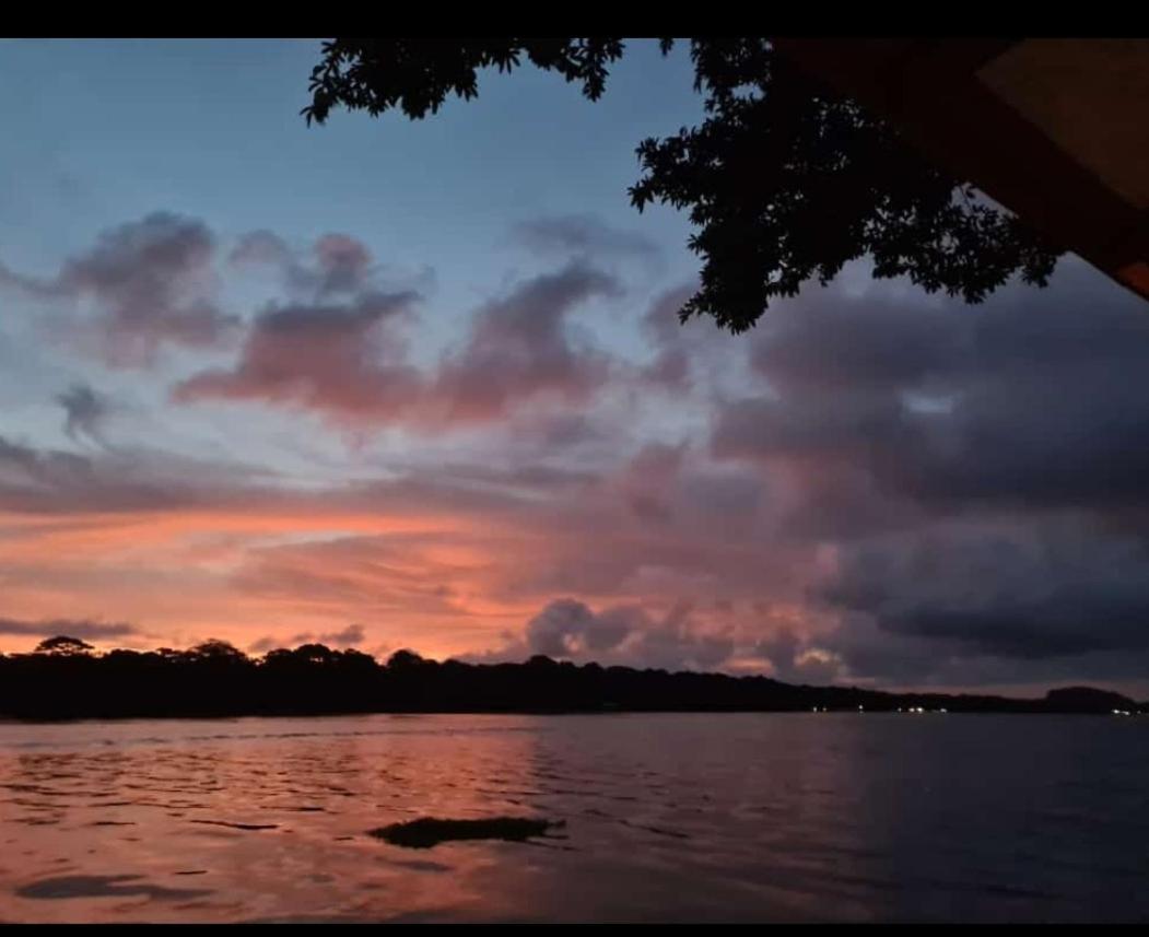 Villa Casa Marbella à Tortuguero Extérieur photo