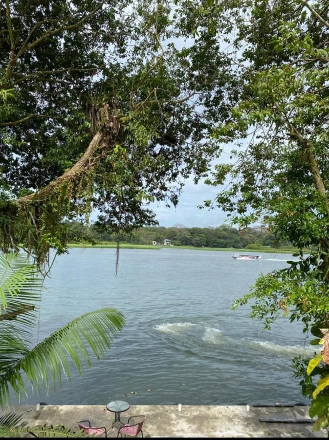 Villa Casa Marbella à Tortuguero Extérieur photo