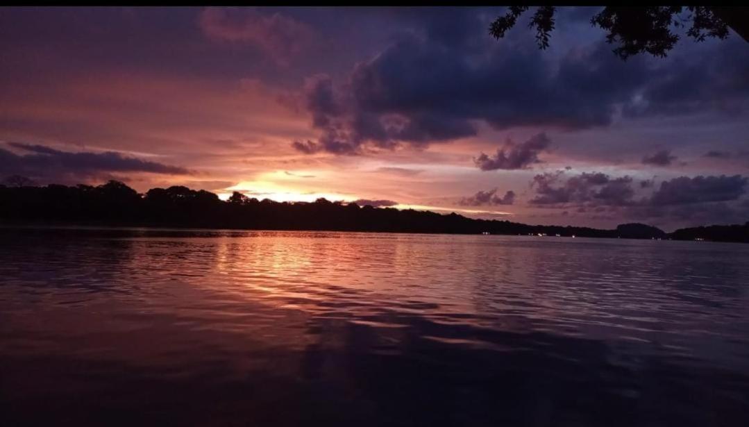 Villa Casa Marbella à Tortuguero Extérieur photo